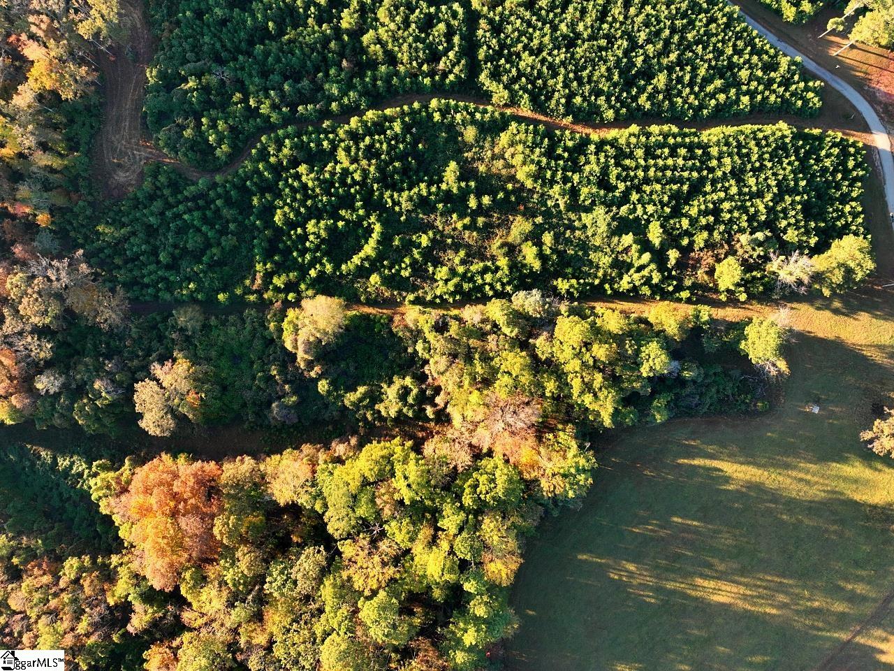 45 Deer Meadows Road Laurens, SC 29360 - Photo 9 of 12