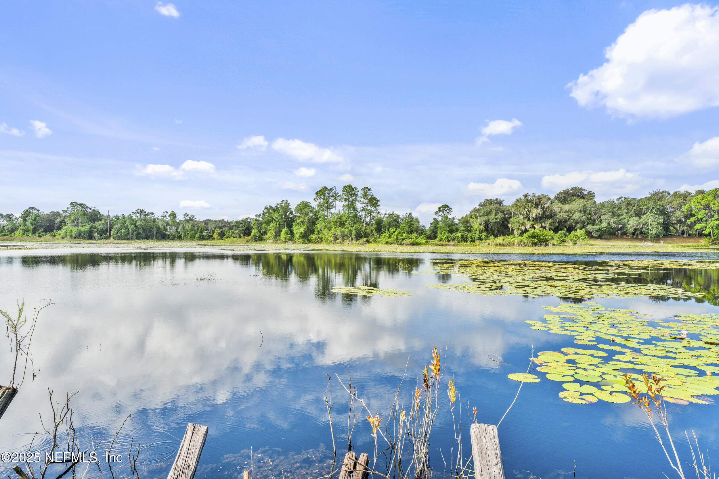 155 Tompkins Road Pomona Park, FL 32181 - Photo 3 of 38 a view of a lake with houses in the back
