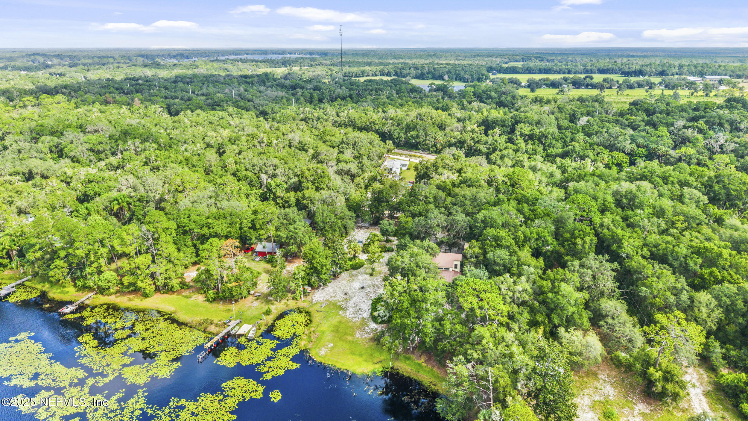 155 Tompkins Road Pomona Park, FL 32181 - Photo 37 of 38 a view of a lush green forest with a building and trees in the background