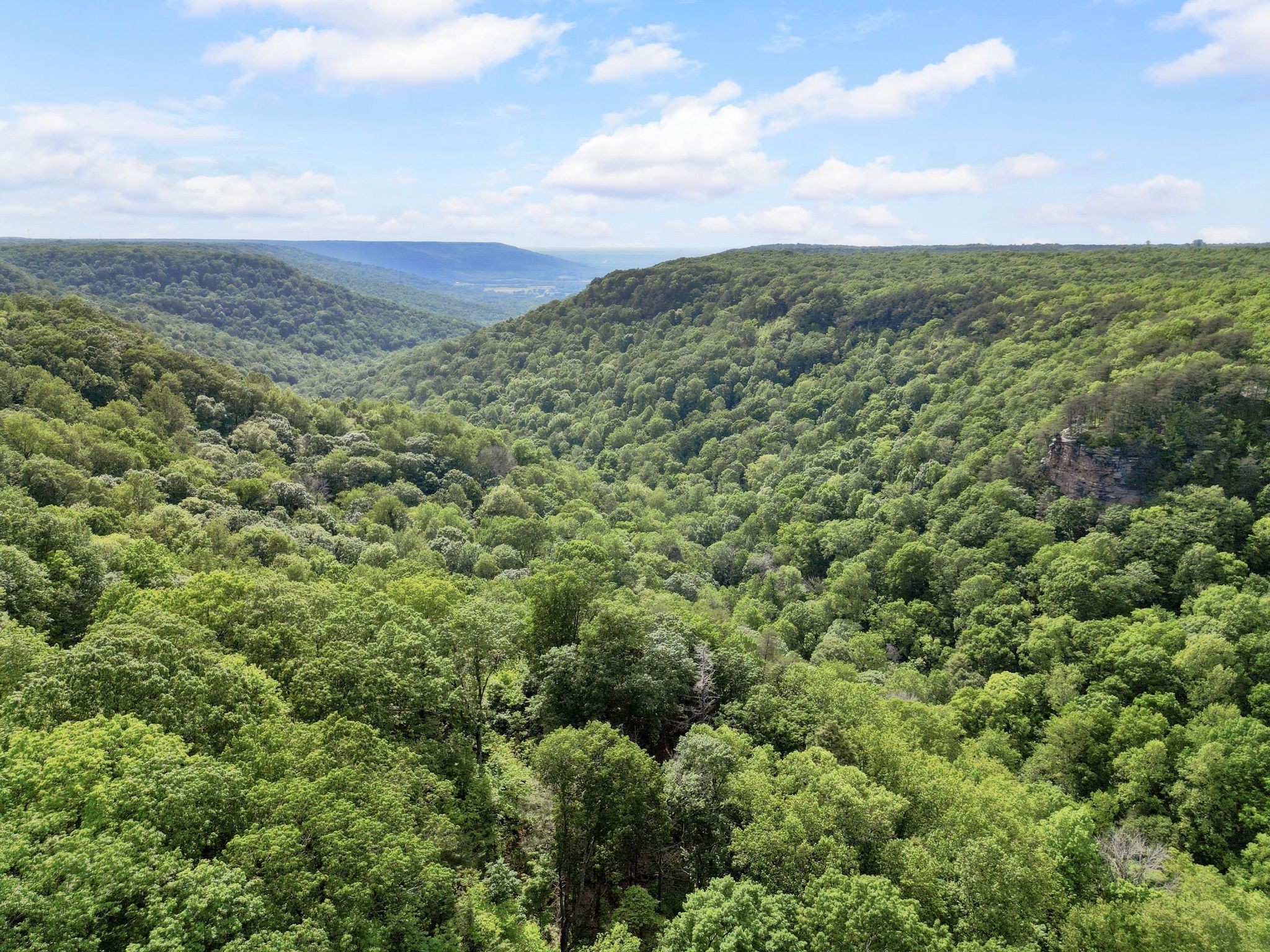 232 Hollingsworth Cove Road Monteagle, TN 37356 - Photo 33 of 45