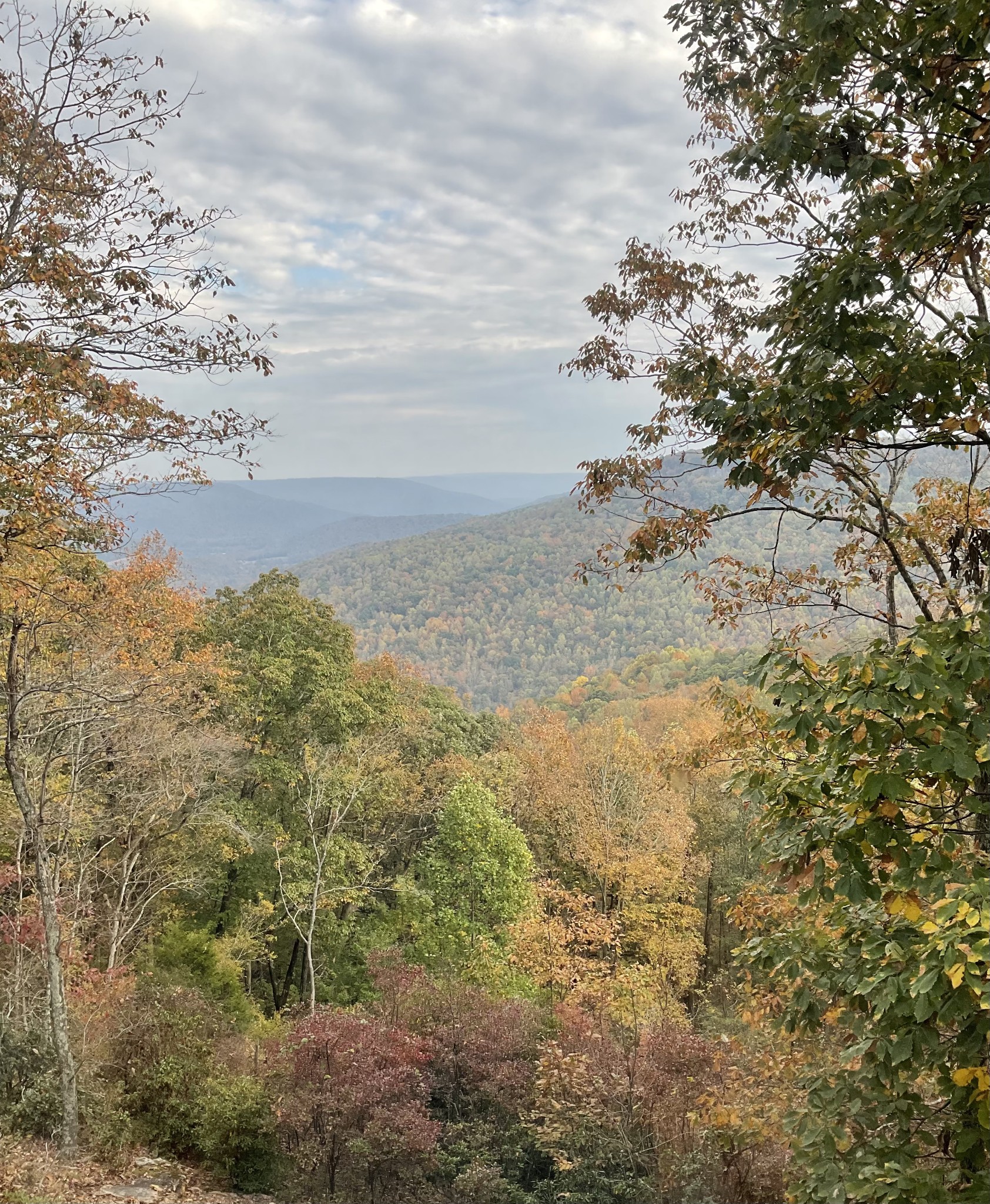 232 Hollingsworth Cove Road Monteagle, TN 37356 - Photo 34 of 45