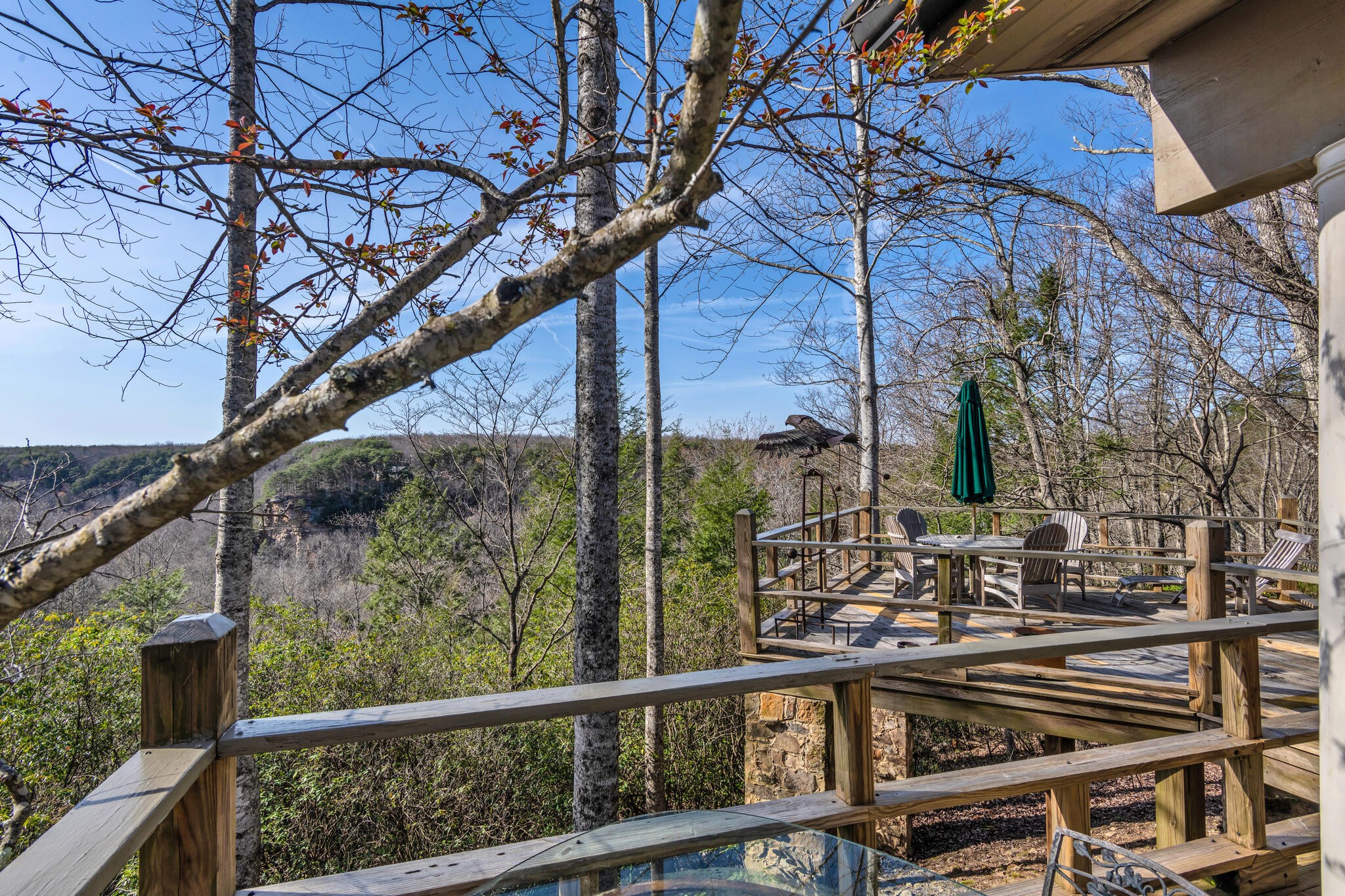 232 Hollingsworth Cove Road Monteagle, TN 37356 - Photo 35 of 45