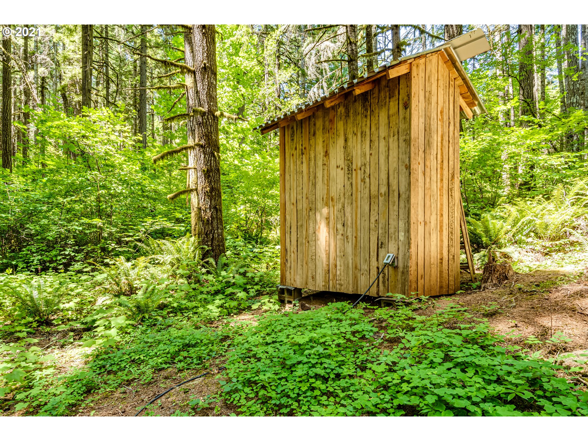 91116 Poodle Creek Road Noti, OR 97461 - Photo 24 of 30 Gallery Image 24