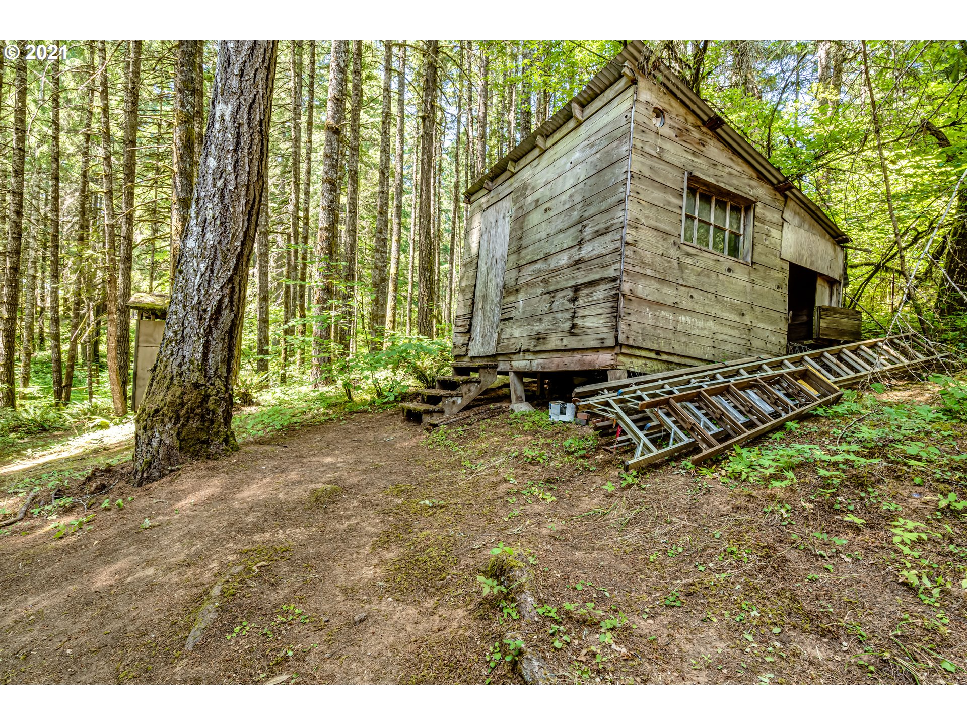 91116 Poodle Creek Road Noti, OR 97461 - Photo 25 of 30 Gallery Image 25