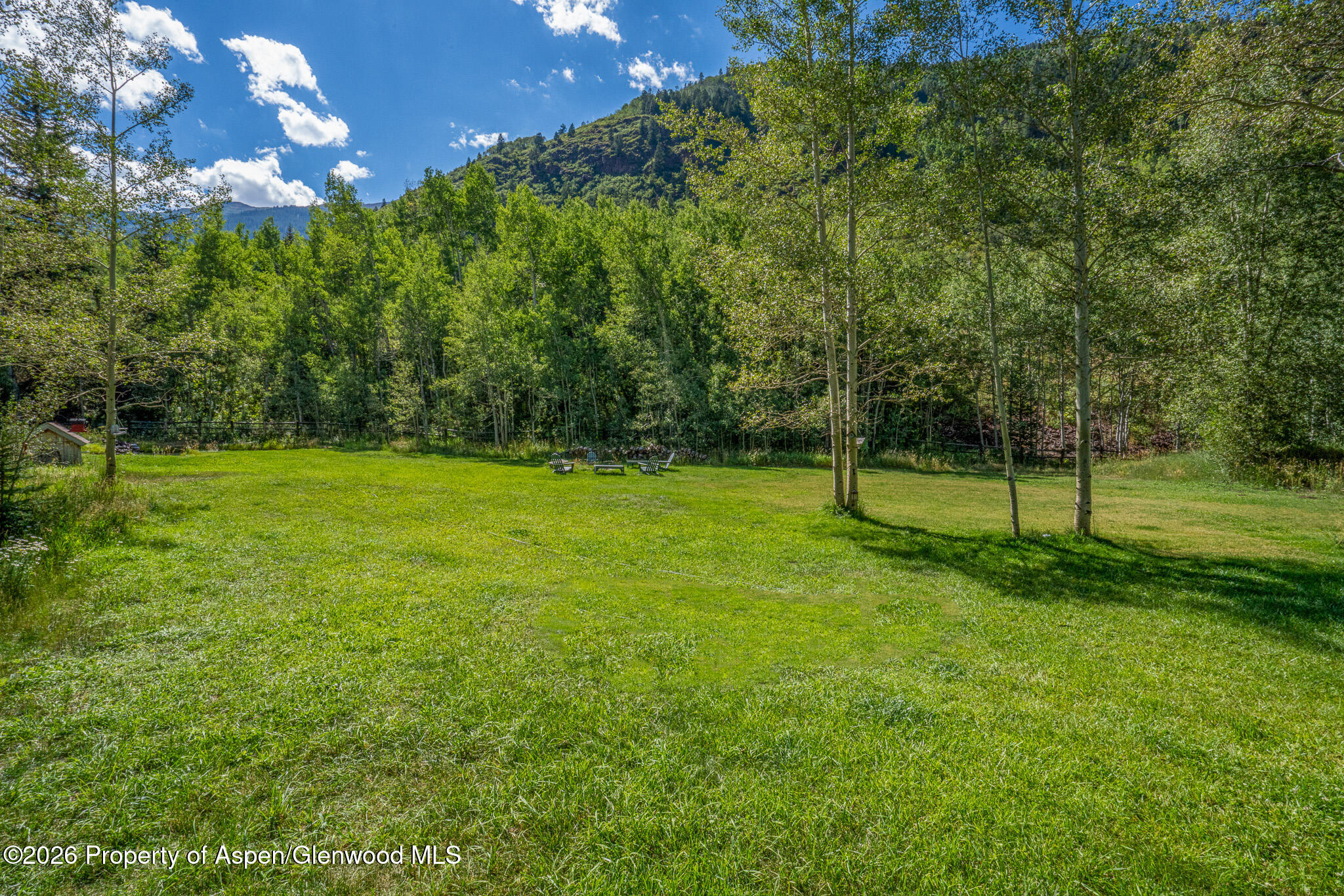285 Conundrum Creek Road Aspen, CO 81611 - Photo 3 of 35 a view of a park with large trees