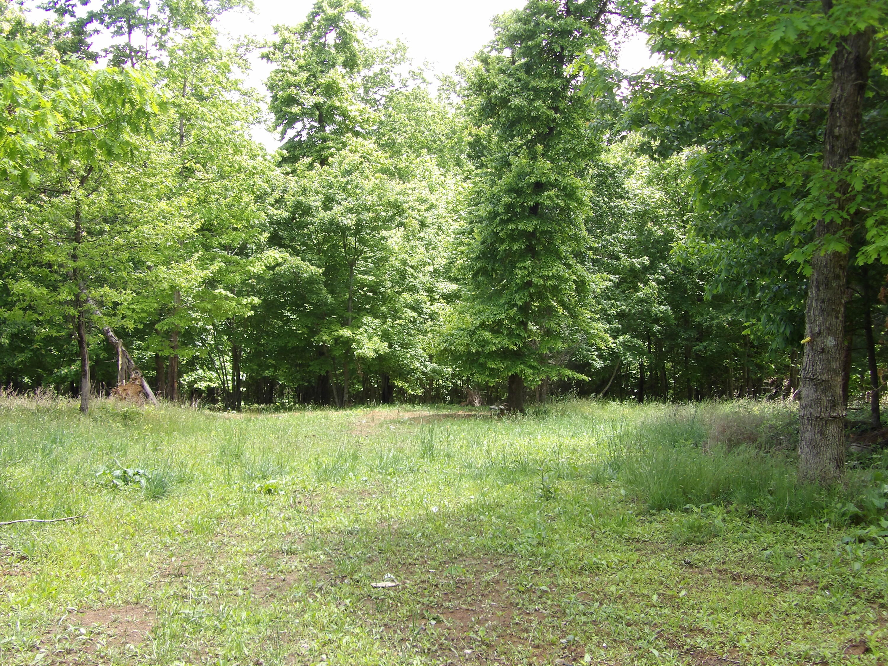 0 Kerley Road Spring City, TN 37381 - Photo 10 of 14 100_2486 - Copy