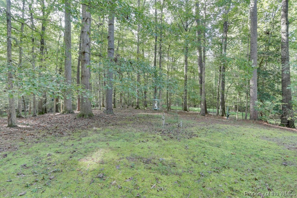 145 Devon Road Williamsburg, VA 23188 - Photo 40 of 44 Gallery Image 40