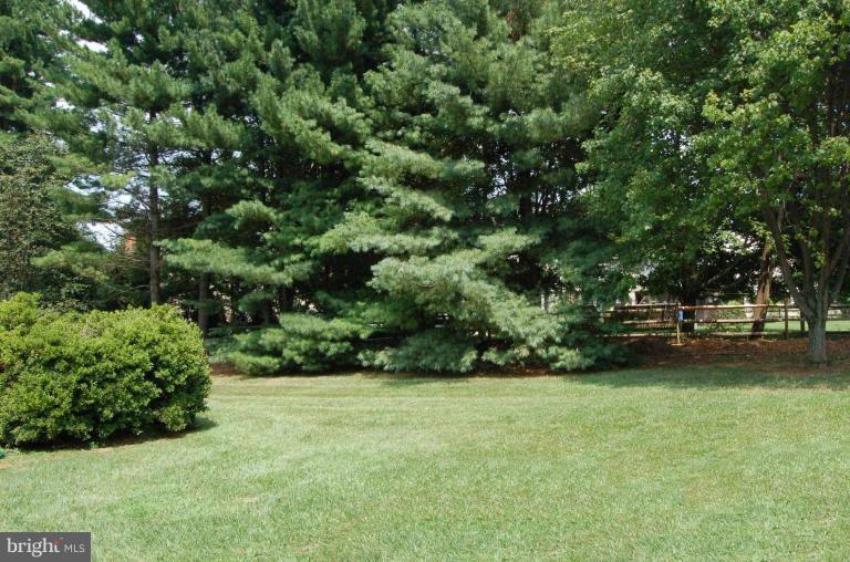 33 Treworthy Road North Potomac, MD 20878 - Photo 10 of 30 Back yard