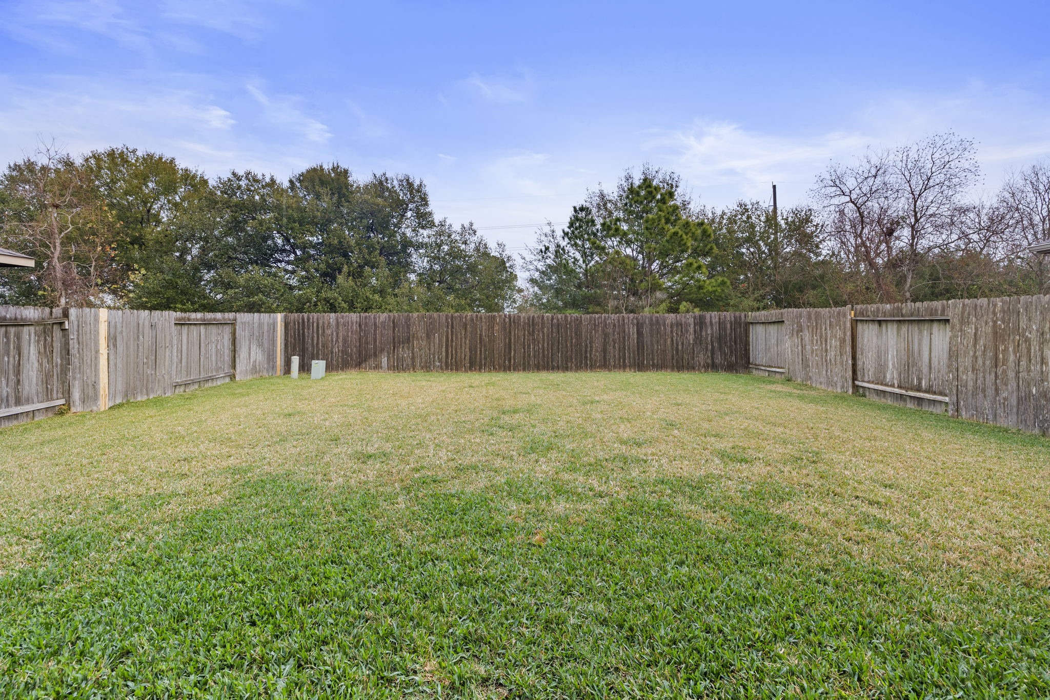 10710 Chestnut Path Way Tomball, TX 77375 - Photo 19 of 26 a view of a backyard with a large tree and wooden fence