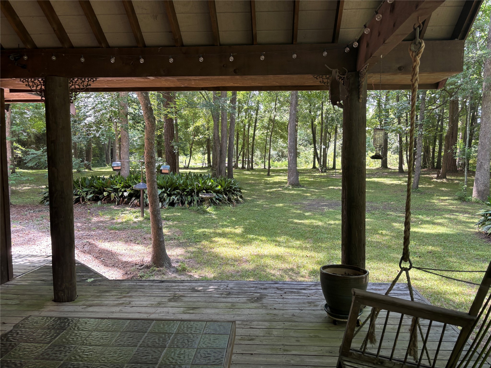 141 Walnut Loop Shepherd, TX 77371 - Photo 12 of 50 Views of the trees and nature will surround you- watch the birds- squirrel feeders-deer- bunnies……