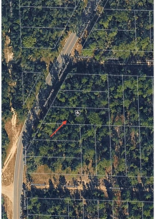 606 Baden Powell Road Hawthorne, FL 32640 - Photo 3 of 6 a view of yard