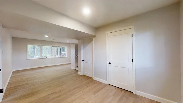 a view of a yard with plants and large trees