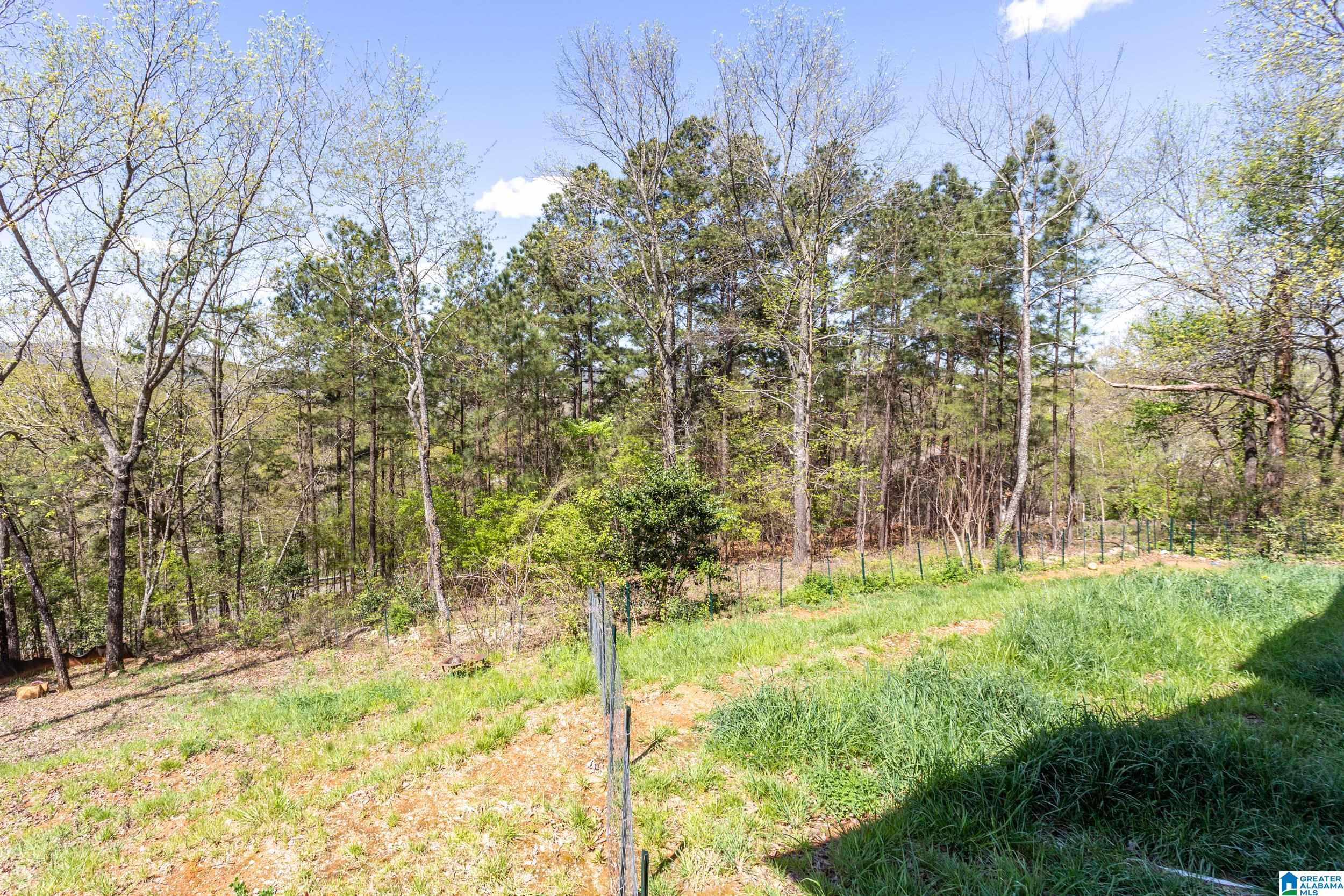 10 Alice Ridge Road Anniston, AL 36207 - Photo 35 of 41