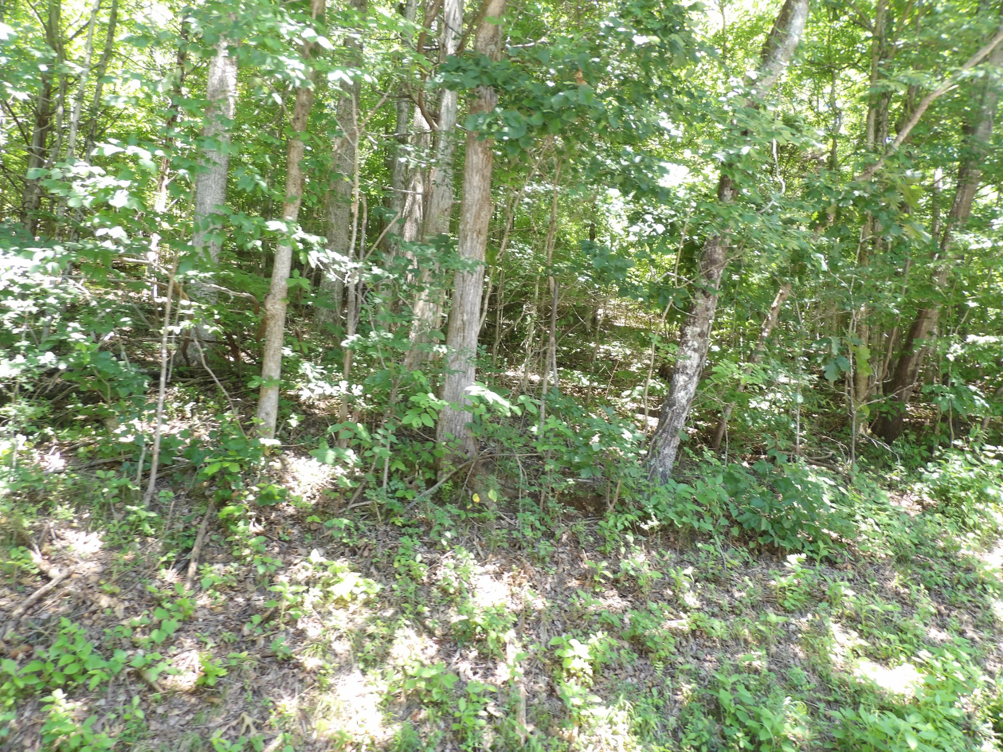 587 West Little Richland Road Waverly, TN 37185 - Photo 19 of 26