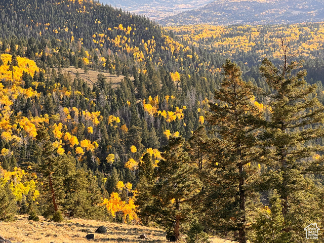 213 South 975 West, Unit 4 Torrey, UT 84775 - Photo 25 of 34 Fall colors on Boulder Mountain