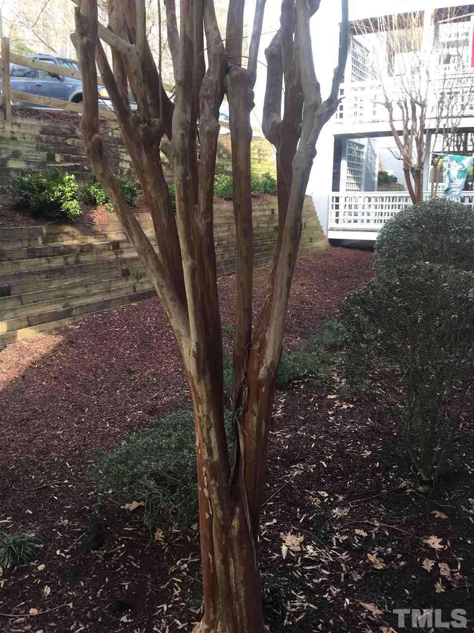 4641 Timbermill Court, Unit 102 Raleigh, NC 27612 - Photo 24 of 24 Gallery Image 24