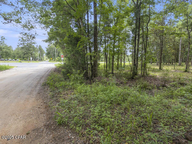 0 Sr-79 Vernon, FL 32462 - Photo 11 of 15