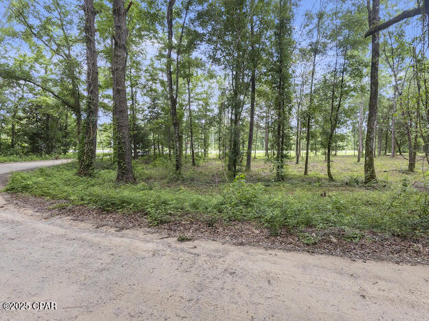 0 Sr-79 Vernon, FL 32462 - Photo 12 of 15