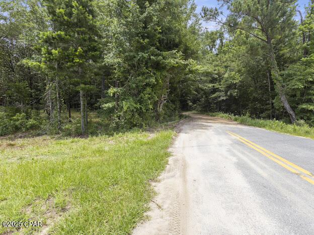 0 Sr-79 Vernon, FL 32462 - Photo 15 of 15