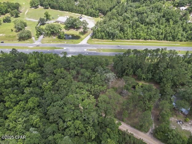 0 Sr-79 Vernon, FL 32462 - Photo 6 of 15