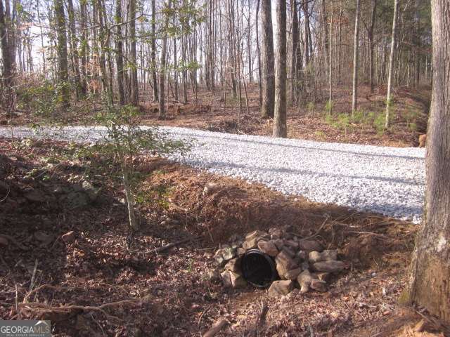 0 Bear Creek Road Talking Rock, GA 30175 - Photo 1 of 1