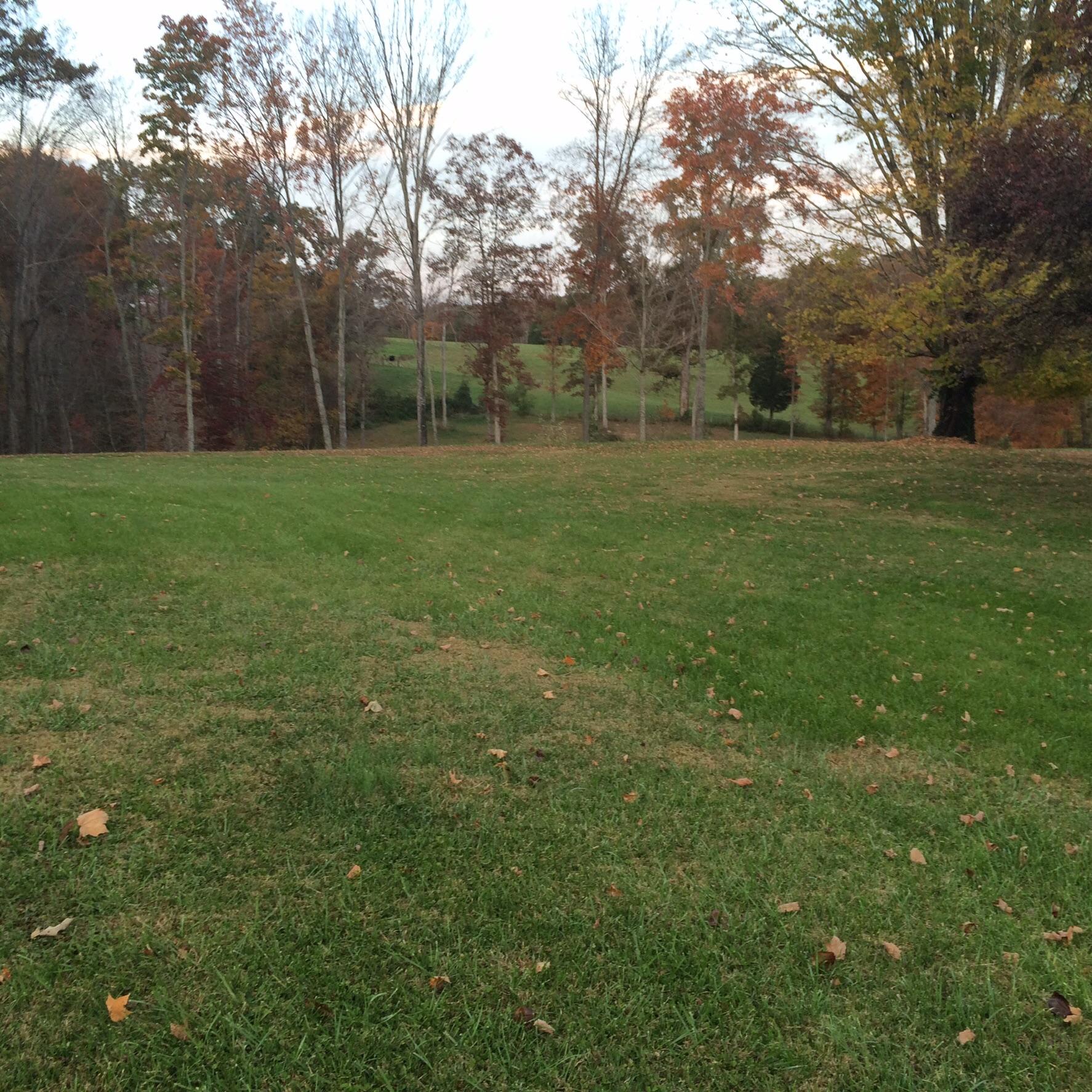 8330 Majors Road Corryton, TN 37721 - Photo 5 of 19 image