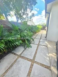 a view of a yard with plants and large tree