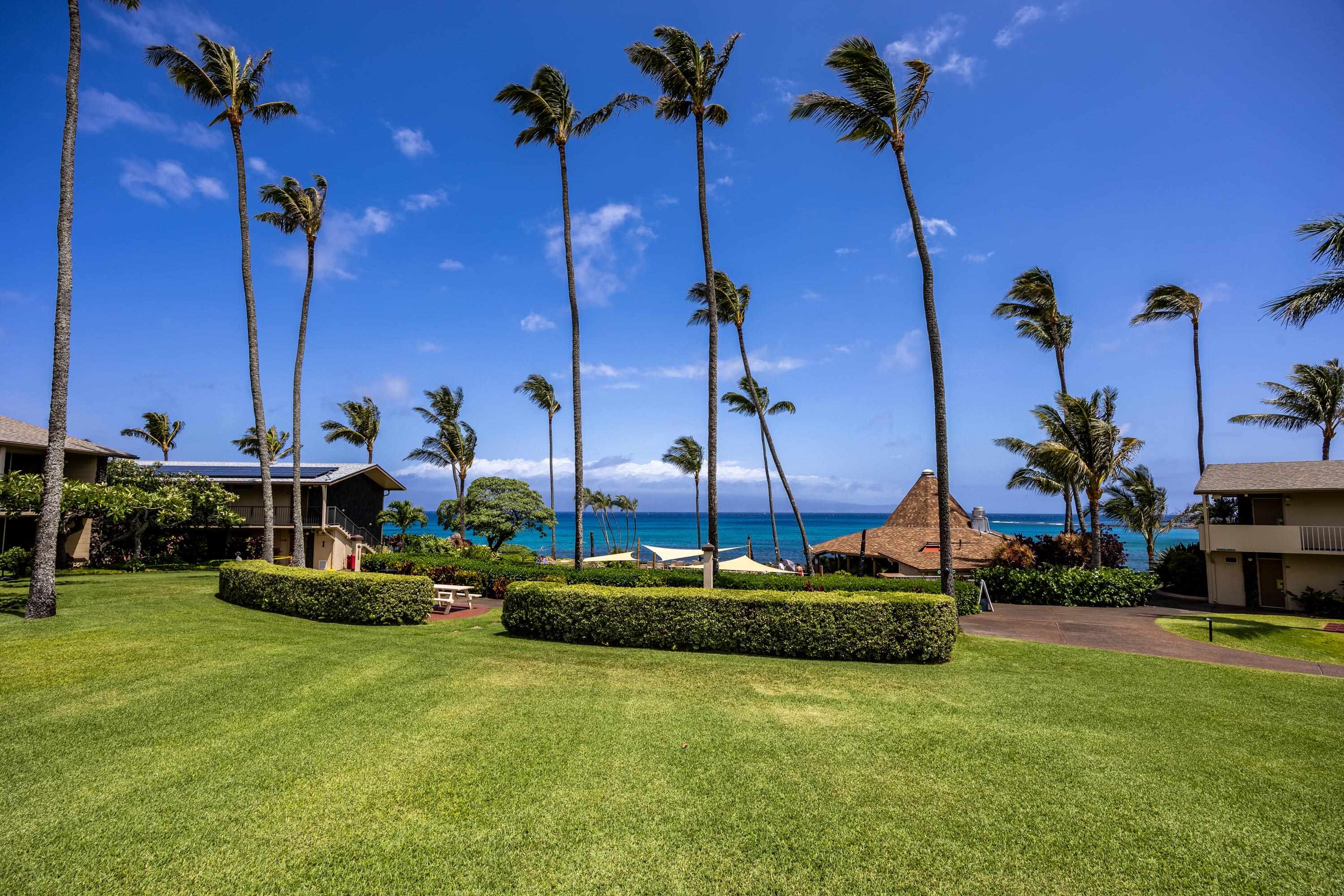 5315 Lower Honoapiilani Road, Unit C215 Lahaina, HI 96761 - Photo 20 of 47 Gallery Image 20