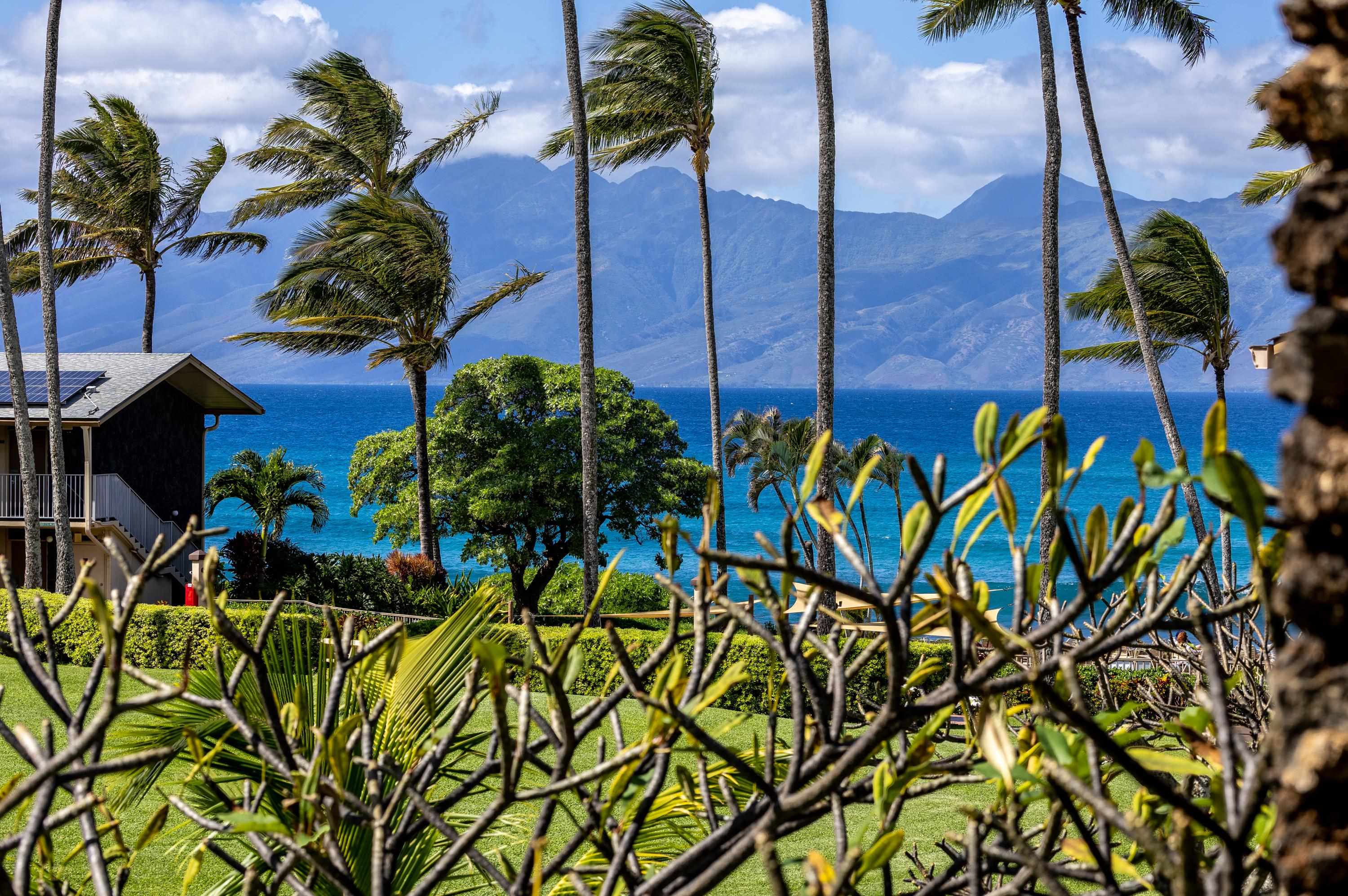 5315 Lower Honoapiilani Road, Unit C215 Lahaina, HI 96761 - Photo 2 of 47 Gallery Image 2