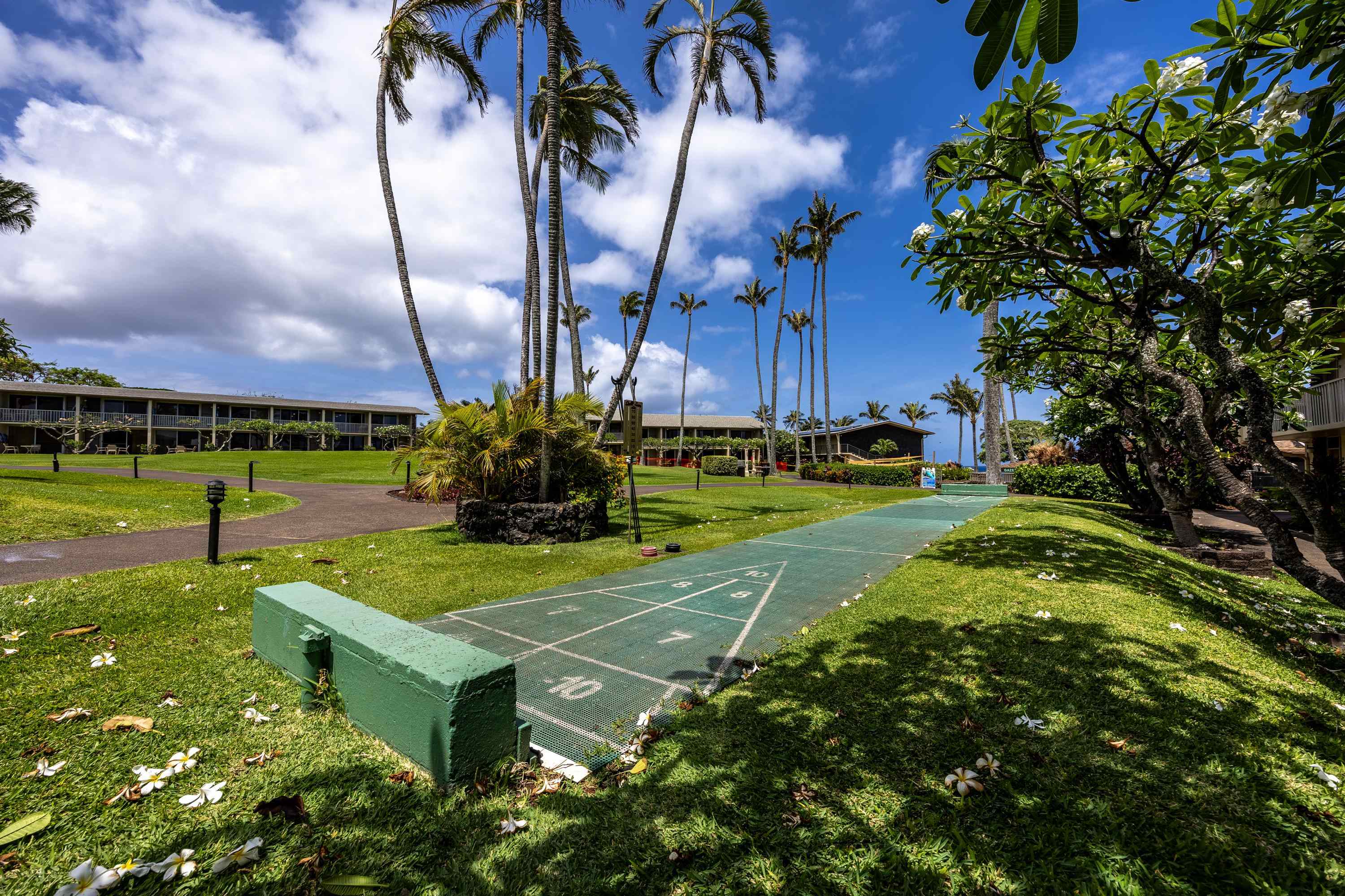 5315 Lower Honoapiilani Road, Unit C215 Lahaina, HI 96761 - Photo 23 of 47 Gallery Image 23