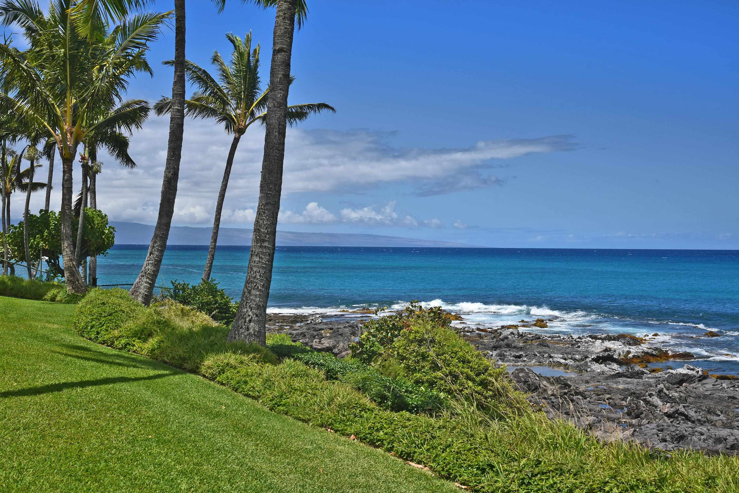 5315 Lower Honoapiilani Road, Unit C215 Lahaina, HI 96761 - Photo 41 of 47 Gallery Image 41