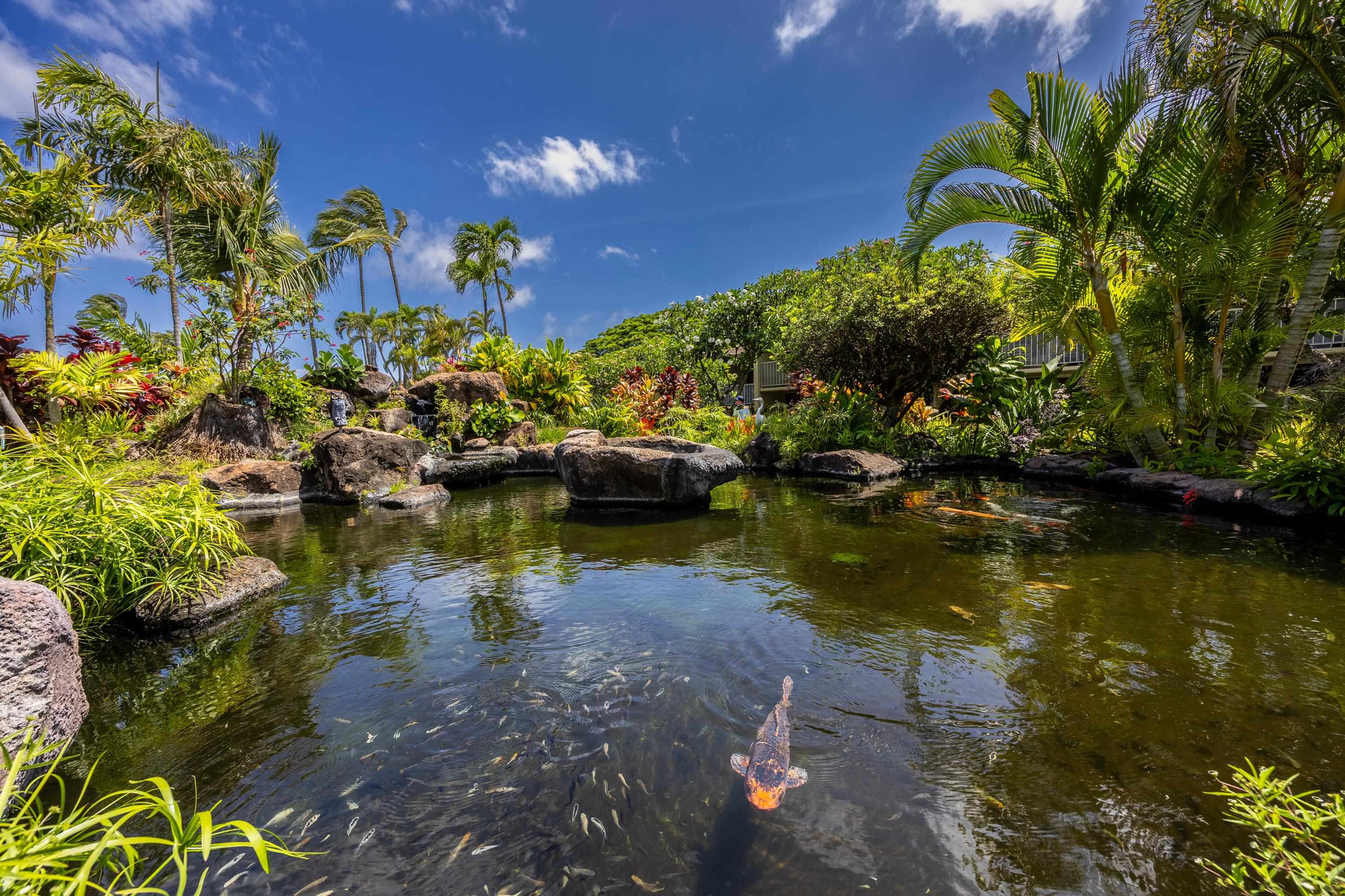 5315 Lower Honoapiilani Road, Unit C215 Lahaina, HI 96761 - Photo 44 of 47 Gallery Image 44