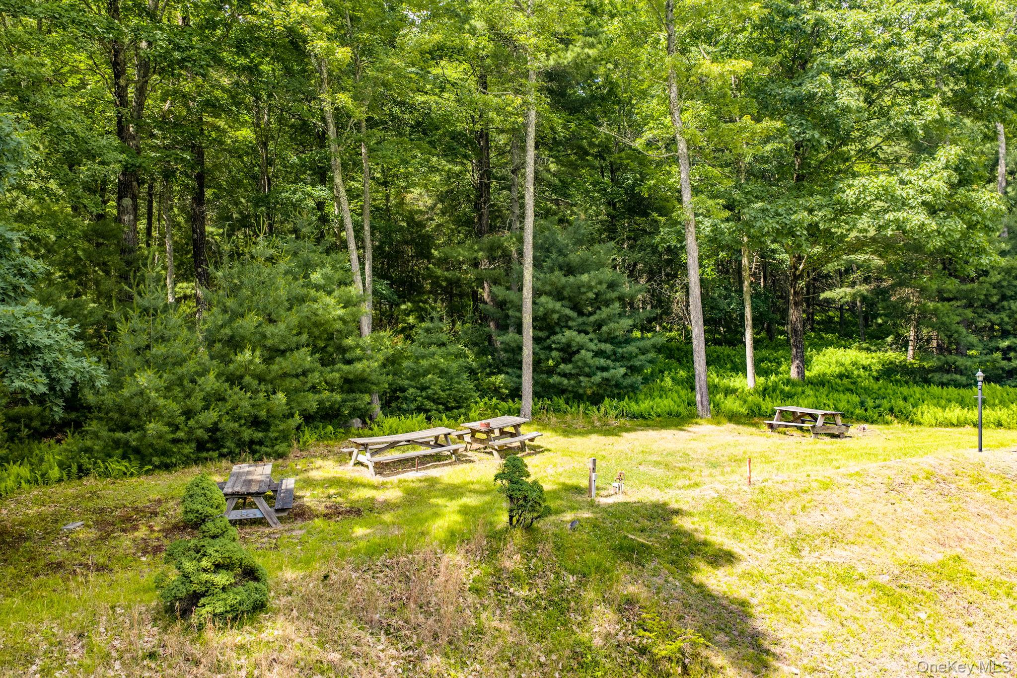 17 Collins Road Eldred, NY 12732 - Photo 26 of 37