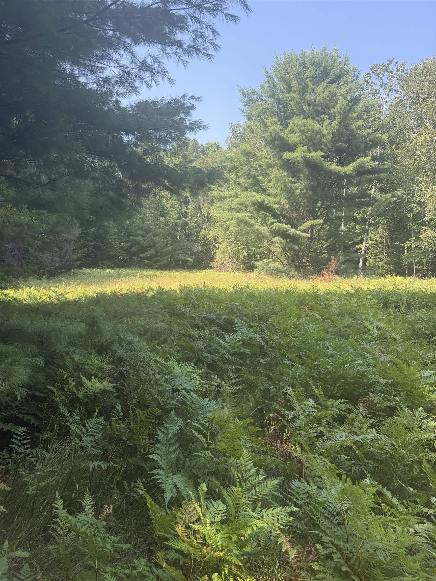 0 Lore Road Ellsworth, MI 49729 - Photo 19 of 27 1948813-2ee4fe09-5b0a-4e73-8512-b9d9729fd437.JPG