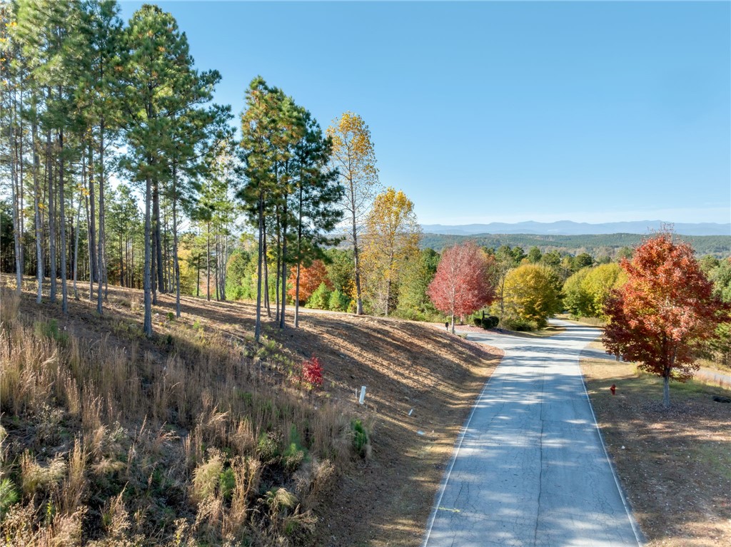 Lot 72 Hickory Springs Way Six Mile, SC 29682 - Photo 2 of 9