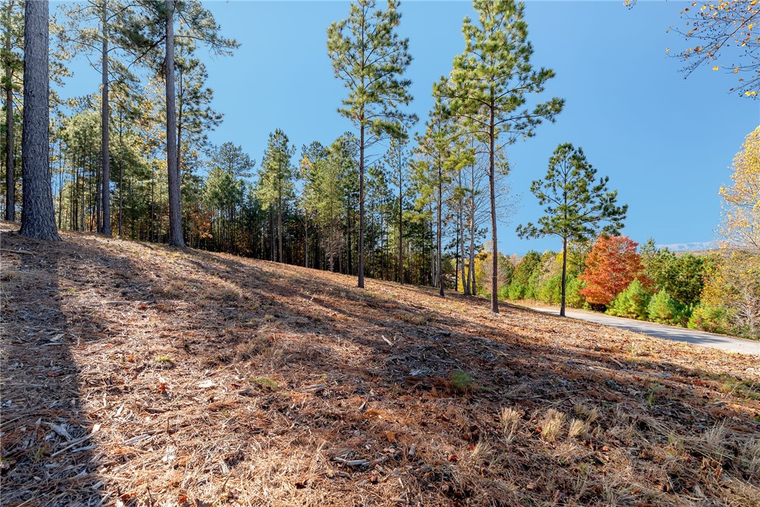 Lot 72 Hickory Springs Way Six Mile, SC 29682 - Photo 3 of 9