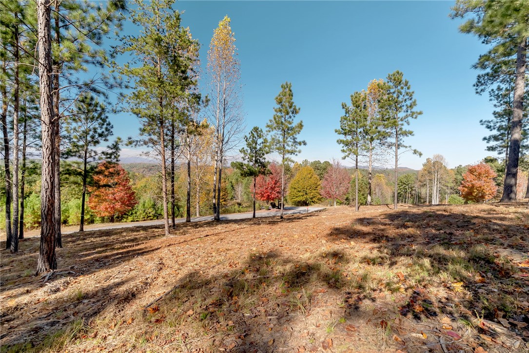 Lot 72 Hickory Springs Way Six Mile, SC 29682 - Photo 4 of 9