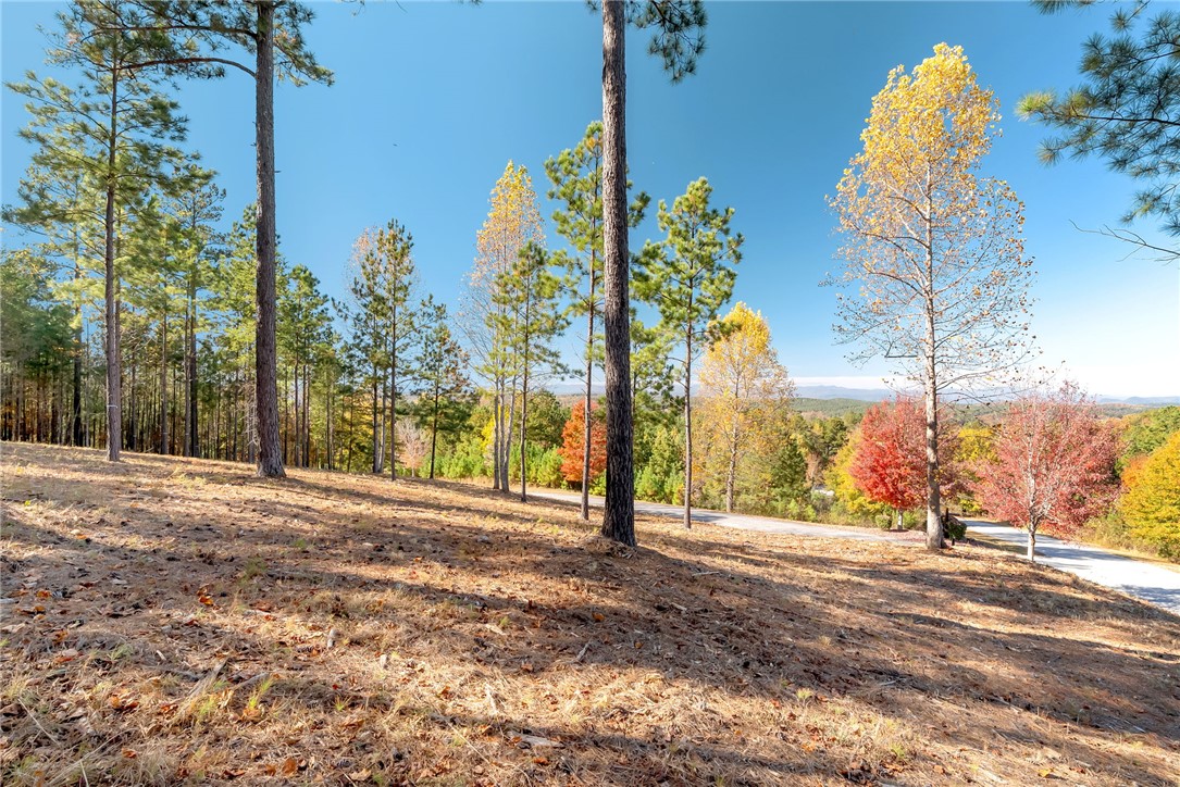 Lot 72 Hickory Springs Way Six Mile, SC 29682 - Photo 5 of 9