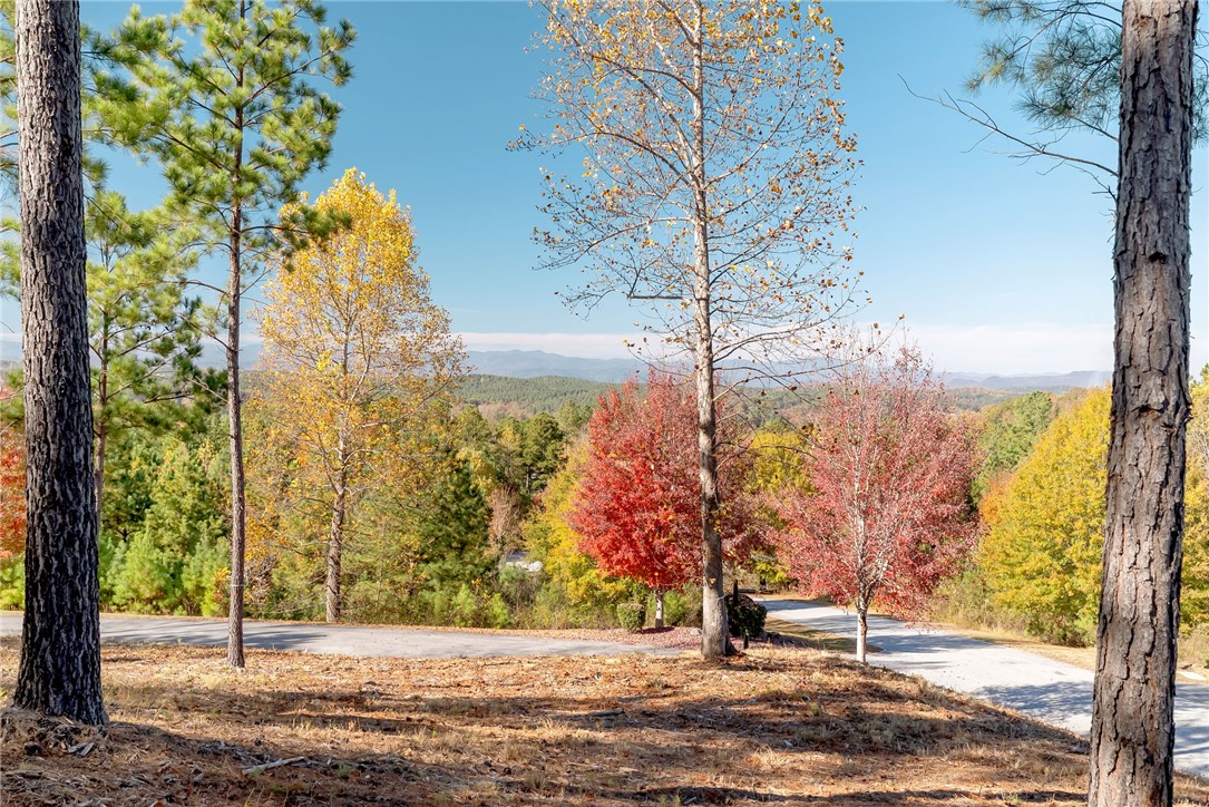 Lot 72 Hickory Springs Way Six Mile, SC 29682 - Photo 6 of 9