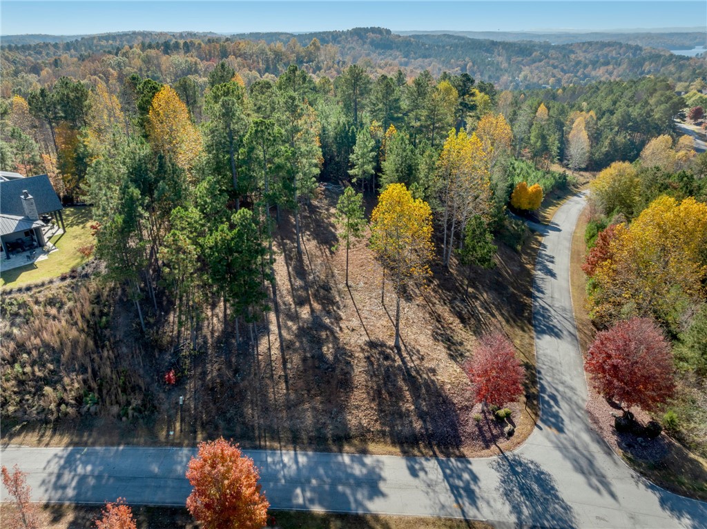 Lot 72 Hickory Springs Way Six Mile, SC 29682 - Photo 7 of 9