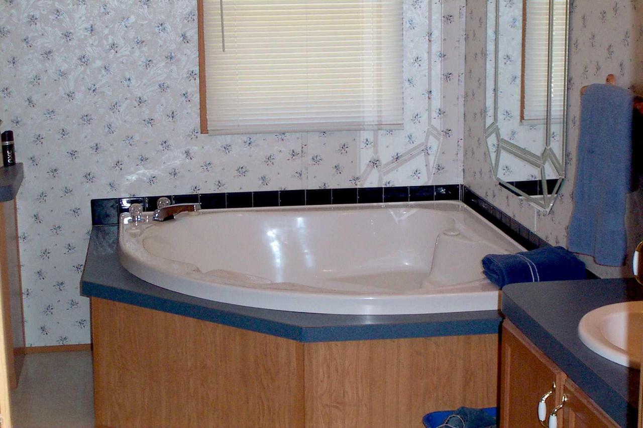 745 Cardinal Ridge Drive Rocky Mount, VA 24151 - Photo 6 of 9 Whirlpool In Master Bath