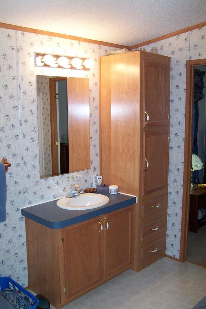 745 Cardinal Ridge Drive Rocky Mount, VA 24151 - Photo 7 of 9 ...With Oak Cabinets And Vanity