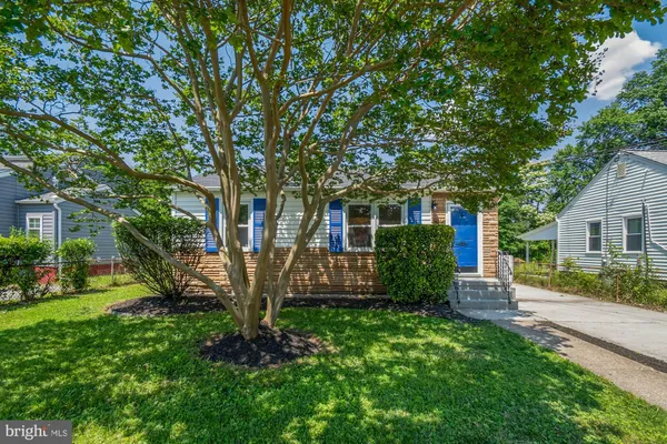front view of a house with a tree in a yard