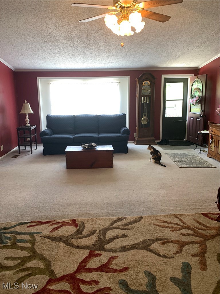 1454 Bonner Road Deerfield, OH 44411 - Photo 13 of 30 spacious and lots of natural light