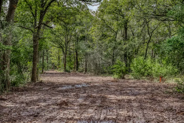 a view of outdoor space with trees