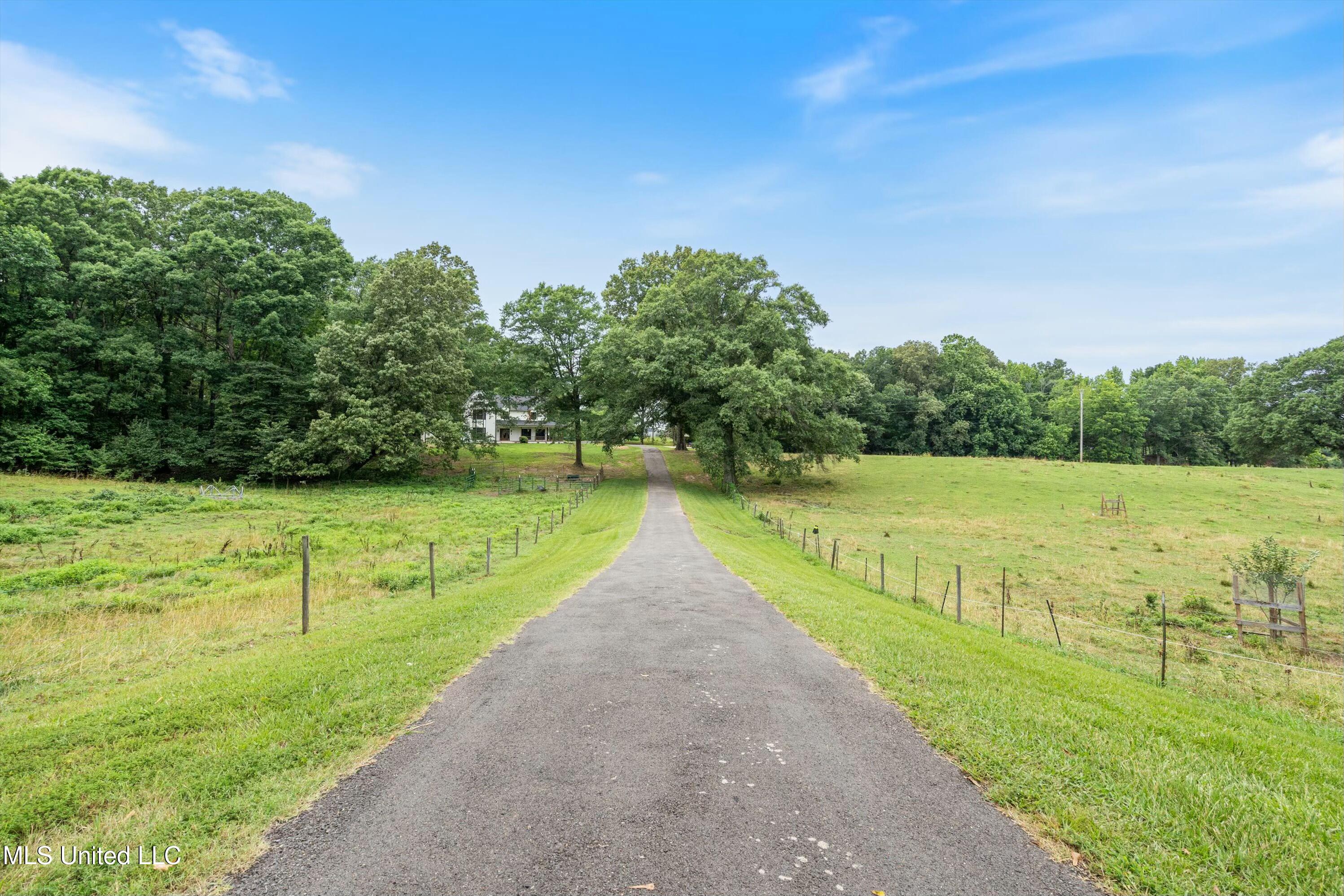 2140 Rader Creek Road Sarah, MS 38665 - Photo 49 of 57 tempImageBHqdH7