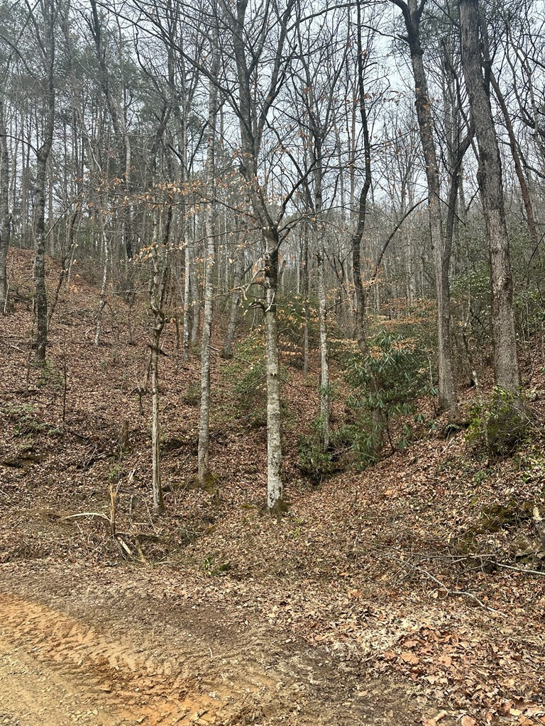 0 Tatham Gap Road Andrews, NC 28901 - Photo 6 of 7