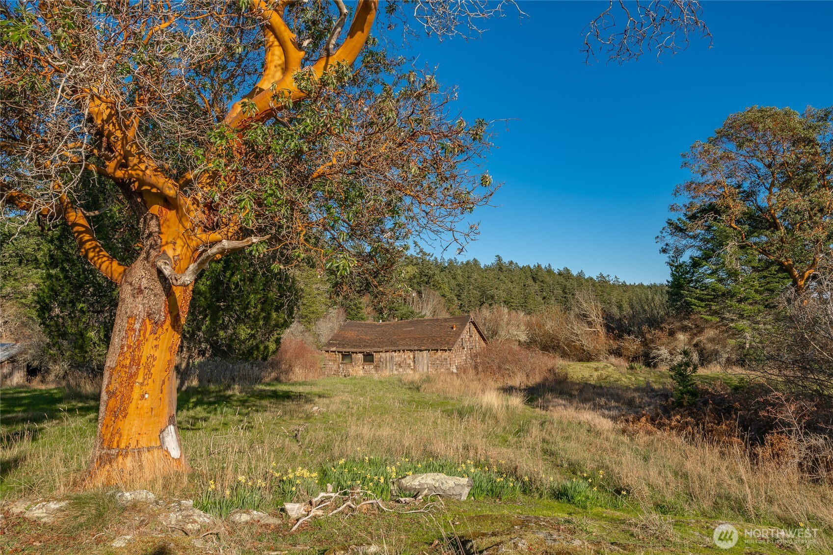 1014 Ben Nevis Loop Road Shaw Island, WA 98286 - Photo 38 of 40