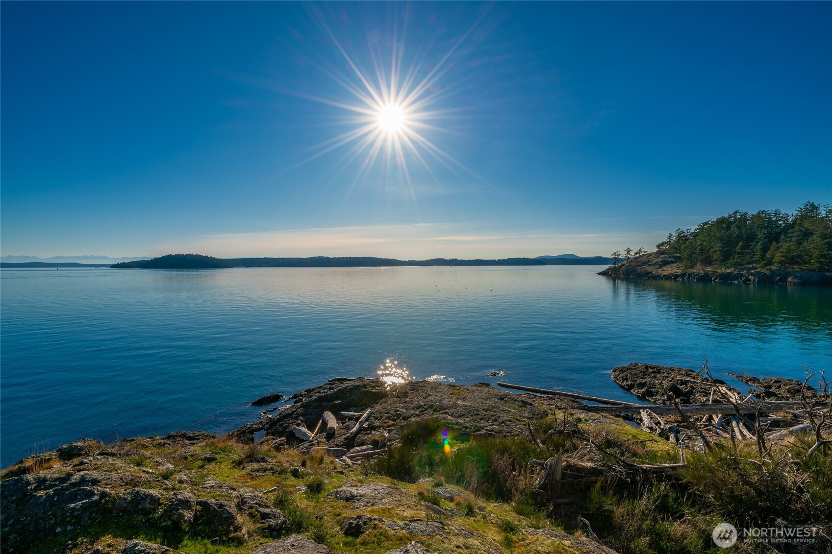 1014 Ben Nevis Loop Road Shaw Island, WA 98286 - Photo 39 of 40