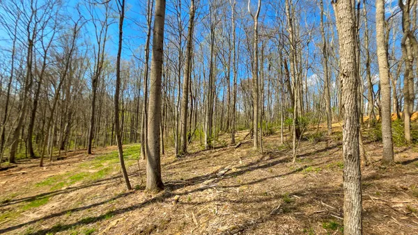 $72,900 | 0 Dennis Road, Unit TRACT 1 AT MUSKINGUM WOODS), Zanesville, OH 43701